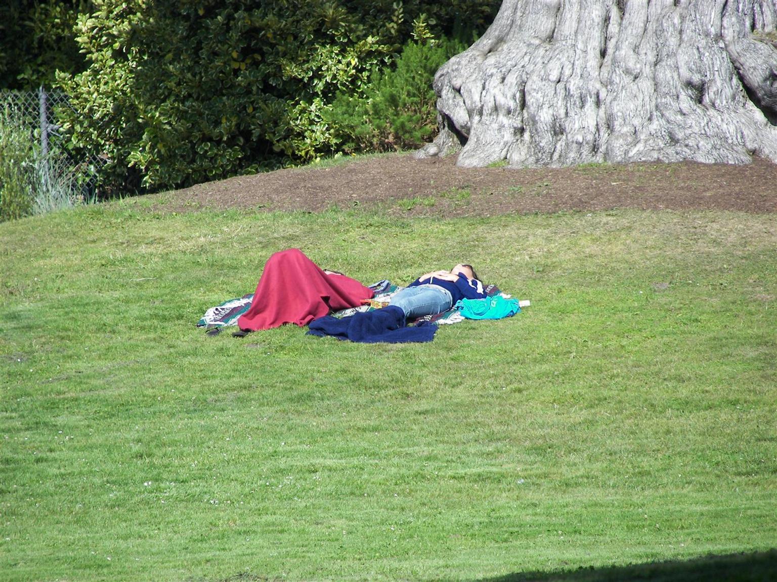 Nappers in park in San Francisco