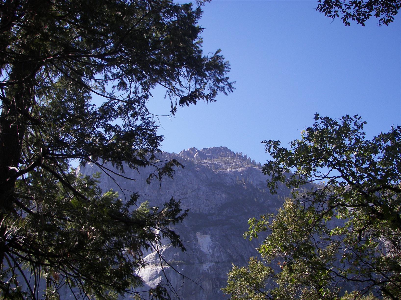 Creek in Yosemite National Park