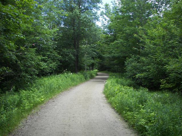 Great Glen Trail near Gorham, New Hampshire