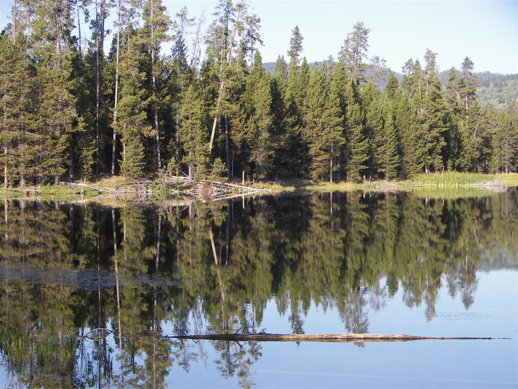 Silver Lake in Harrimans State Park of east central Idaho (#3194)
