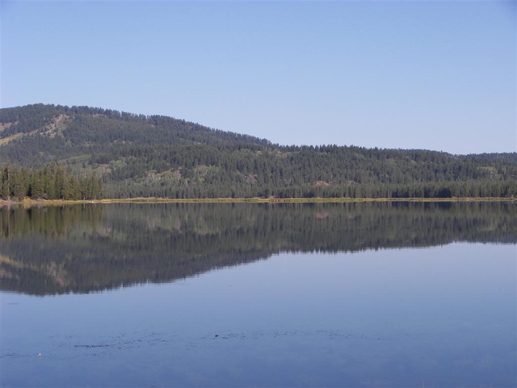 Silver Lake in Harrimans State Park of east central Idaho (#3196)