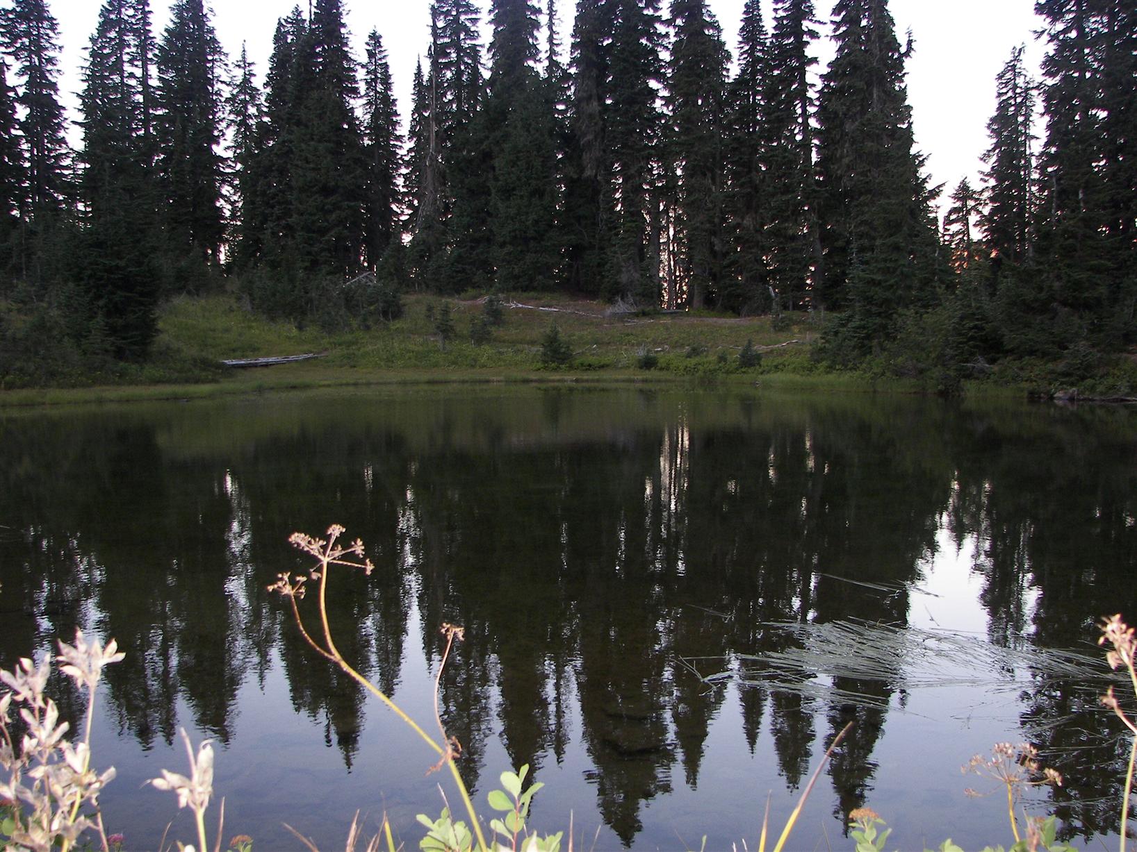Tipsoo Lake near Mt. Rainier in Washington