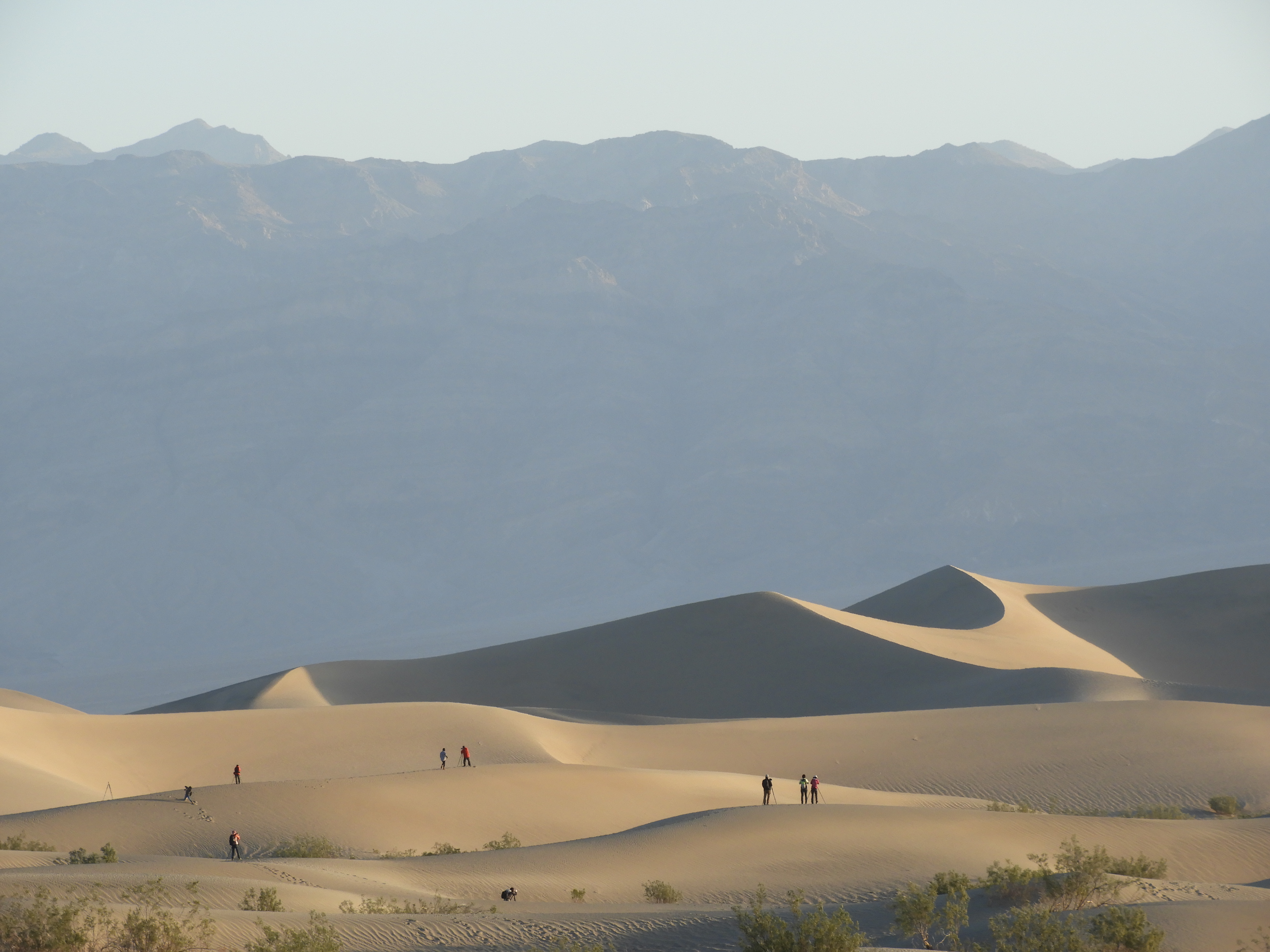 Mesquite Sand Dunes in Death Valley National Park in southeastern California