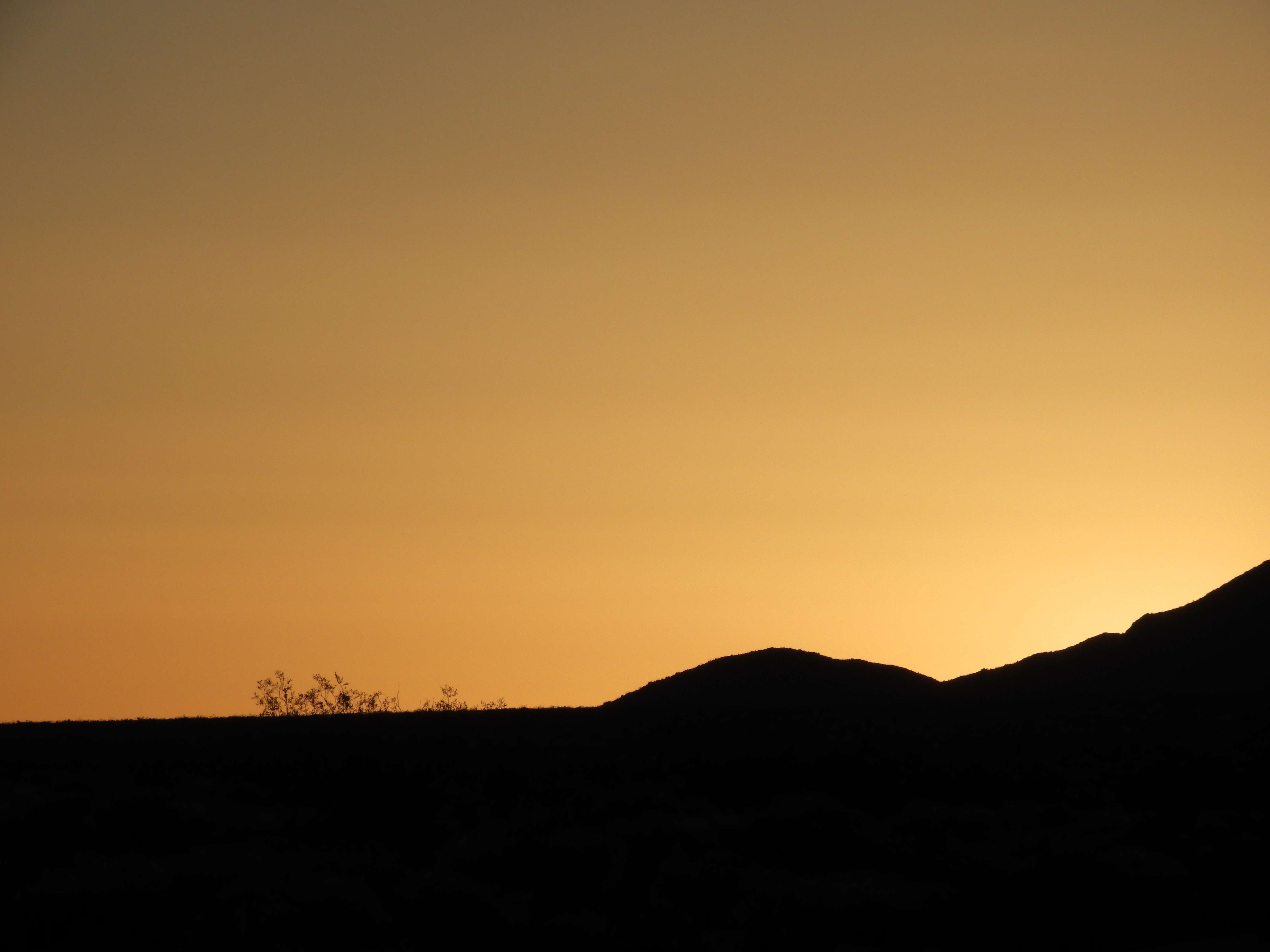 Sunrise seen in Joshua Tree National Park in California