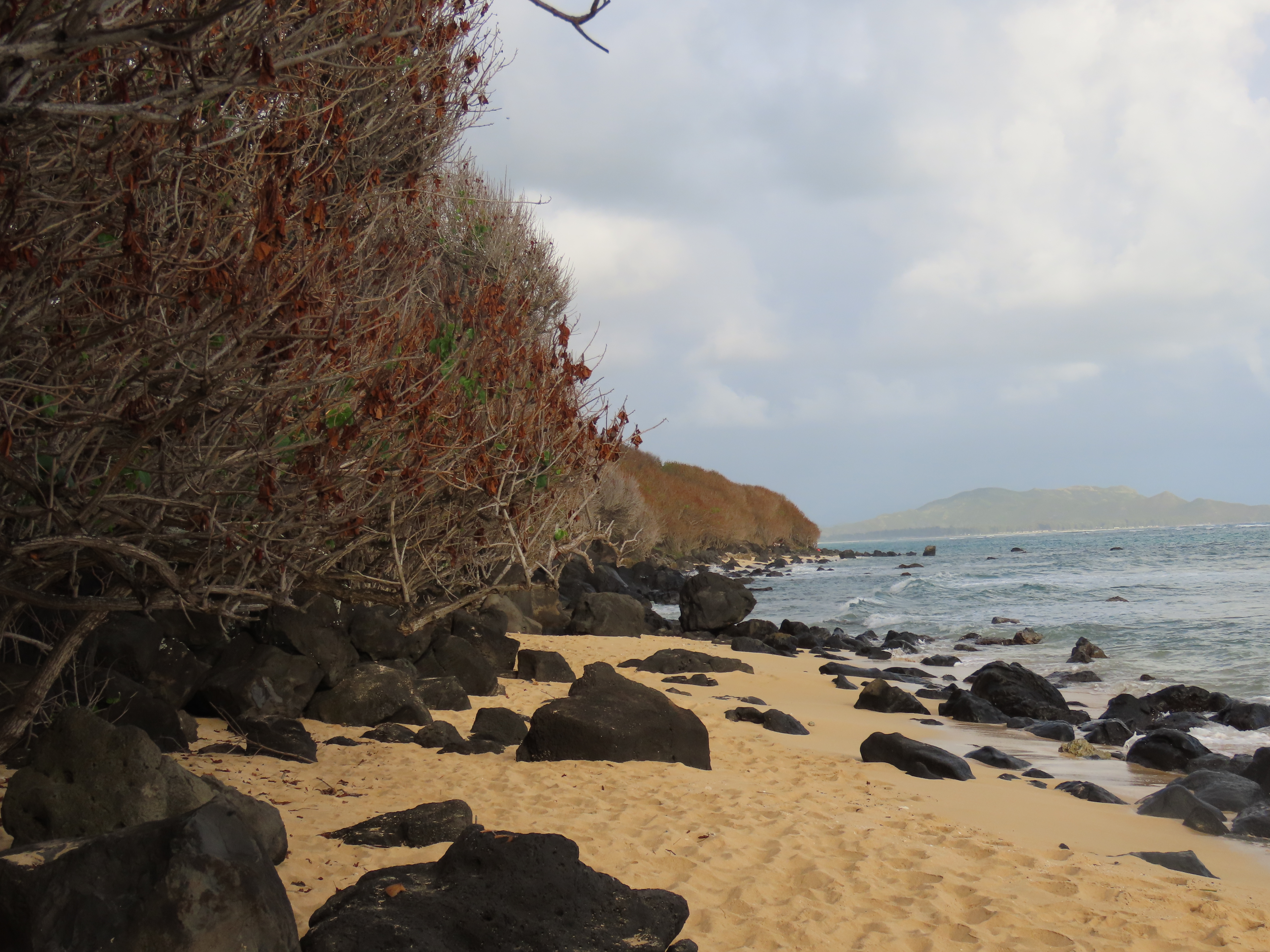 Makupuu Beach on the southeastern shore of the Hawaiian island of Oahu