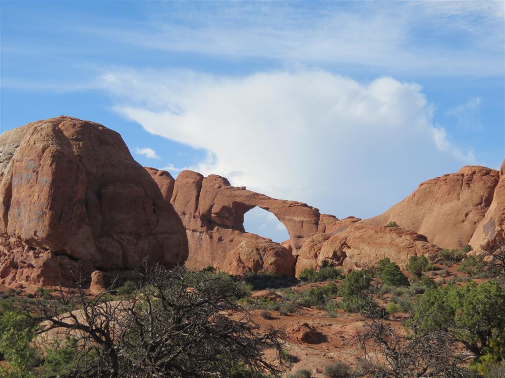 Arches National Park in east central Utah (#1031)