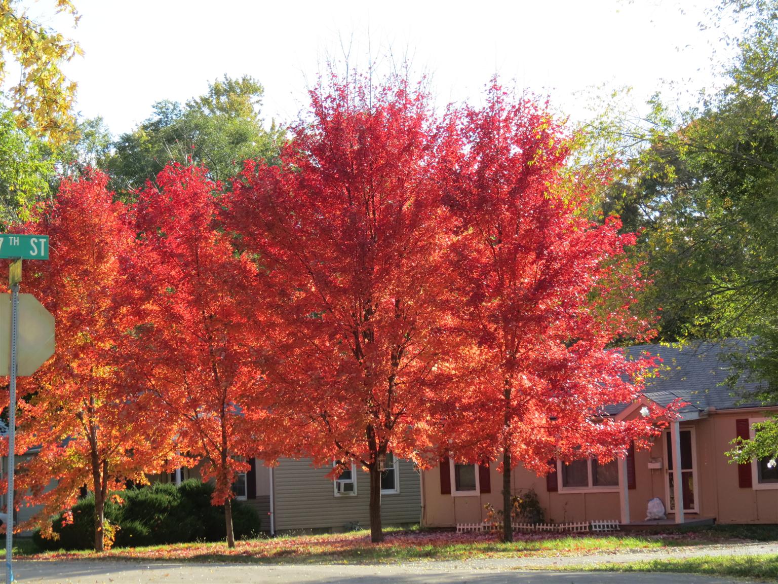 Scenes of fall 2013 in Kansas City, Missouri