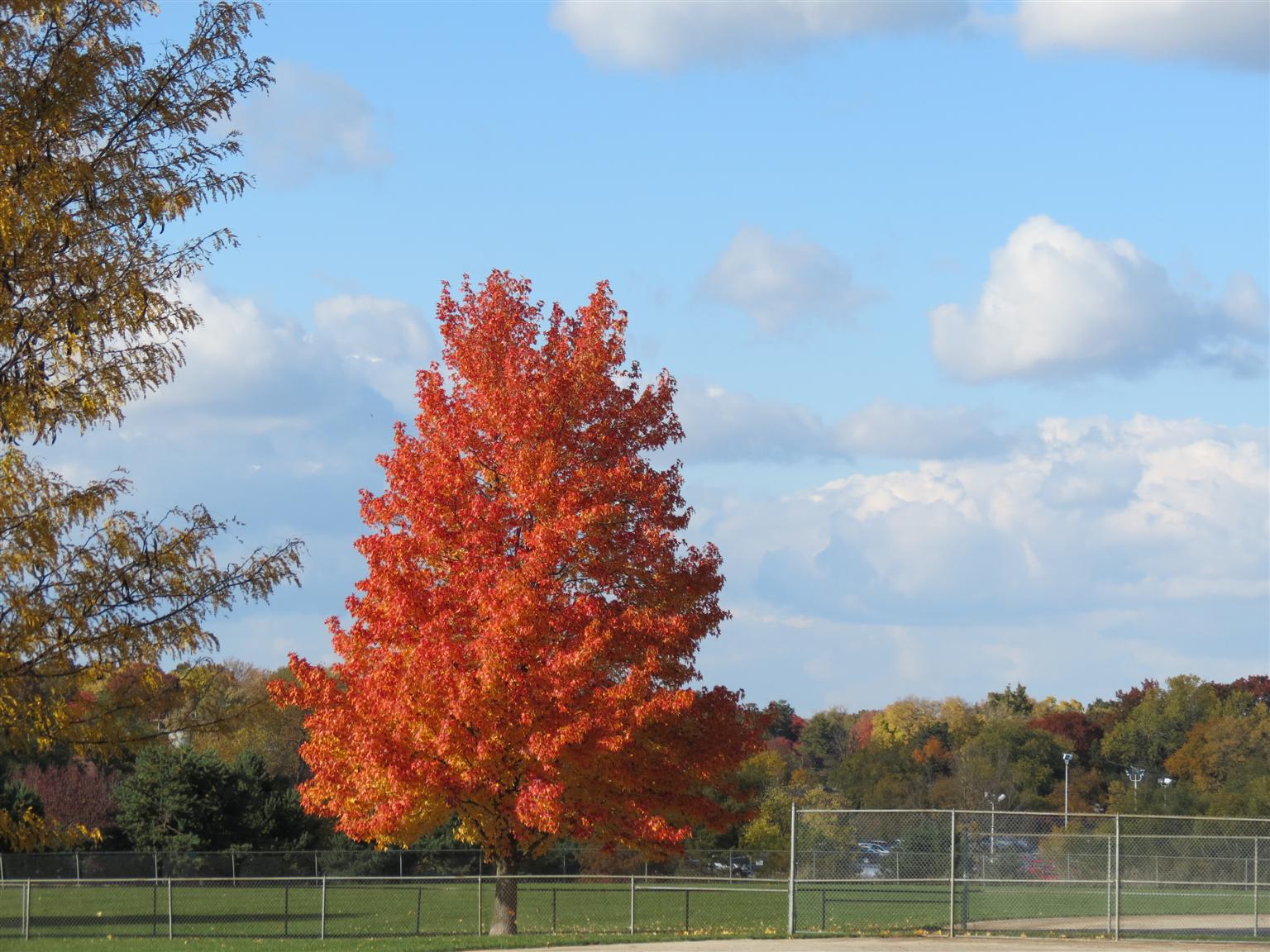 Scenes of fall 2013 in Kansas City Missouri