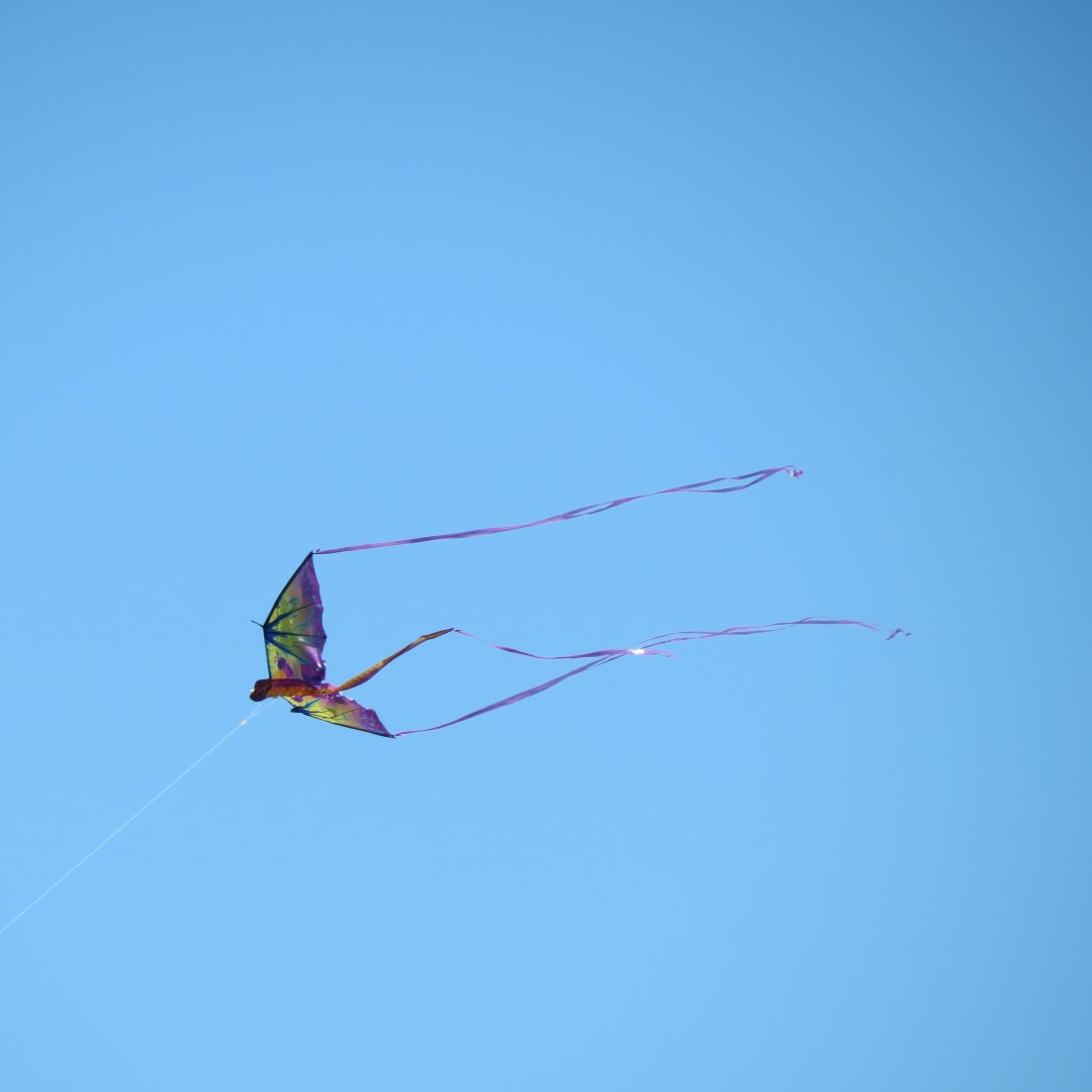 Flying kite at Heritage Park in Olathe, Kansas