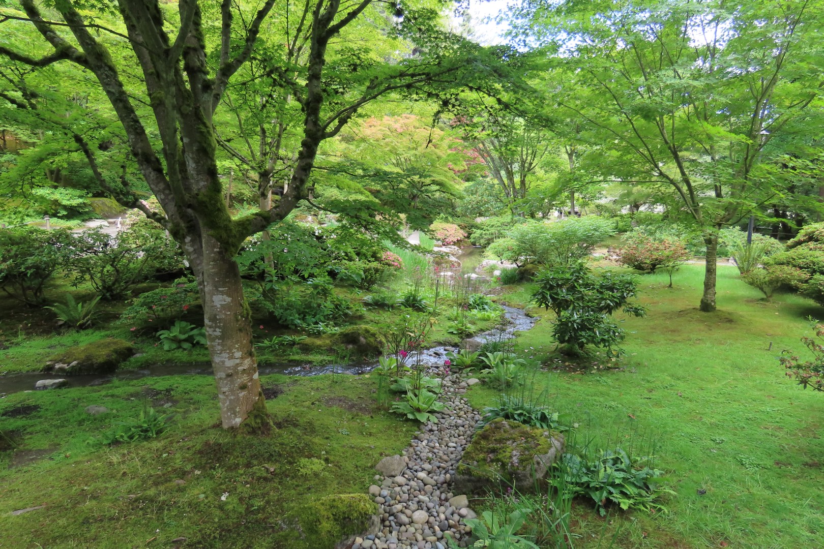 Japanese Garden in Seattle Washington