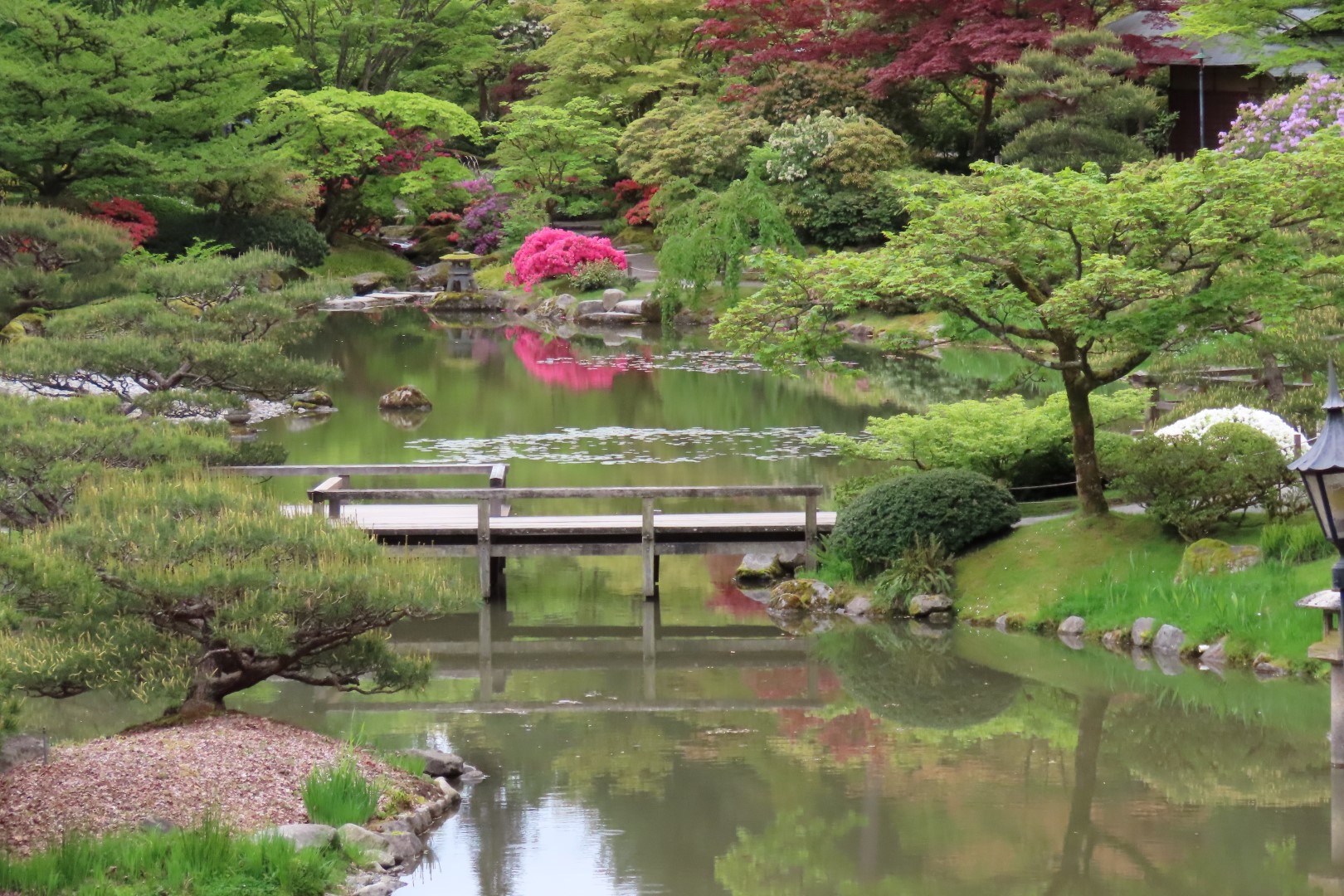 Japanese Gardens in Seattle, Washington