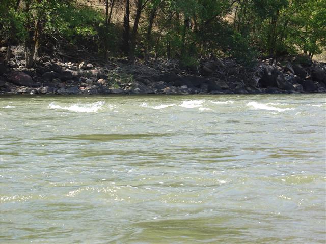 Colorado River on which just completed rafting (5 of 7) (#722)