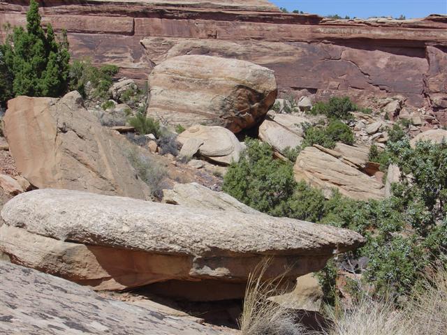 Views of Colorado National Monument (3 of 26) (#737)