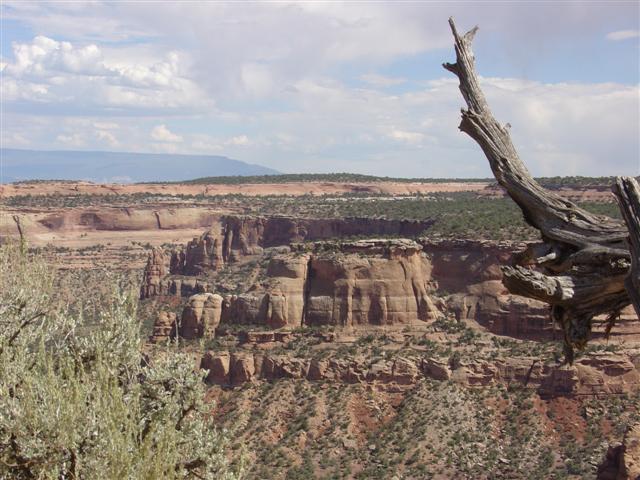 Views of Colorado National Monument (22 of 26) (#765)