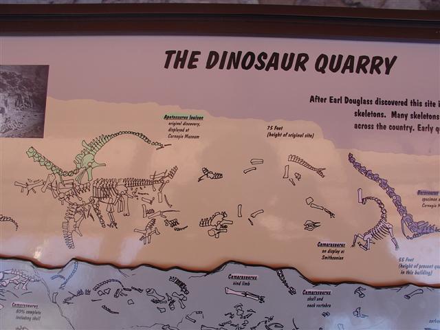 Dinosaur Visitor Center (Jensen) - explanations at center (4 of 8) (#806)