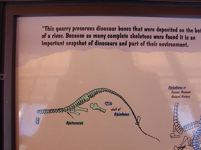 Dinosaur Visitor Center (Jensen) - explanations at center (7 of 8) (#809)