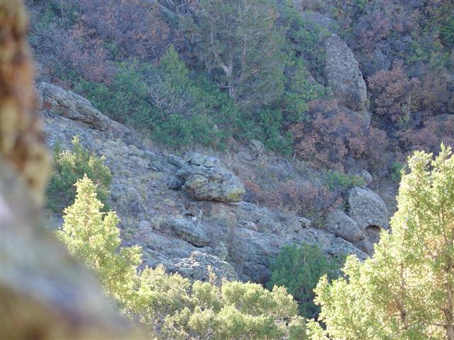 Cedar Point view of canyon (2 of 3) (#867)