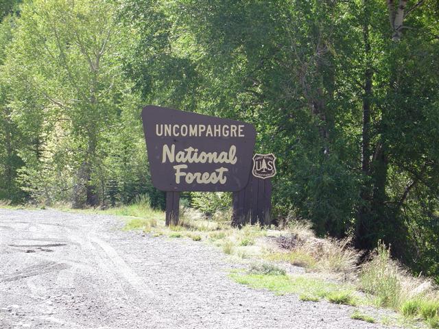 Uncompahgre National Forest entrance sign (#915)