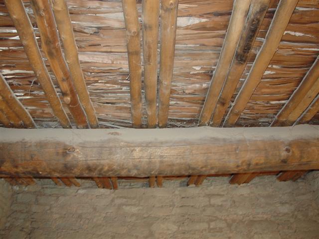 The Building Remants of the Pueblo Indians (10 of 15) (#1079)