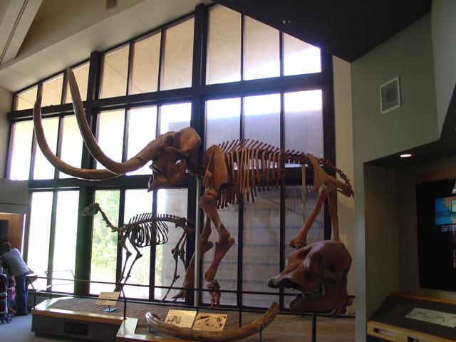 New Mexico Museum of Natural History and Science exhibits (2 of 13) (#1224)