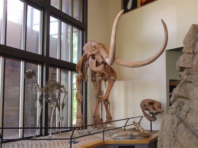 New Mexico Museum of Natural History and Science exhibits (3 of 13) (#1225)