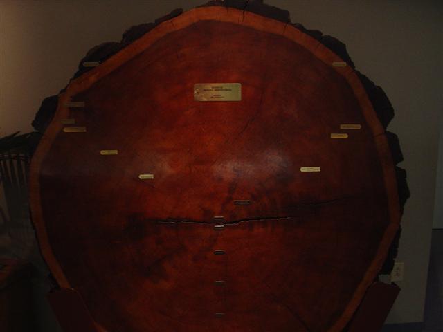 New Mexico Museum of Natural History and Science exhibits (4 of 13) (#1226)