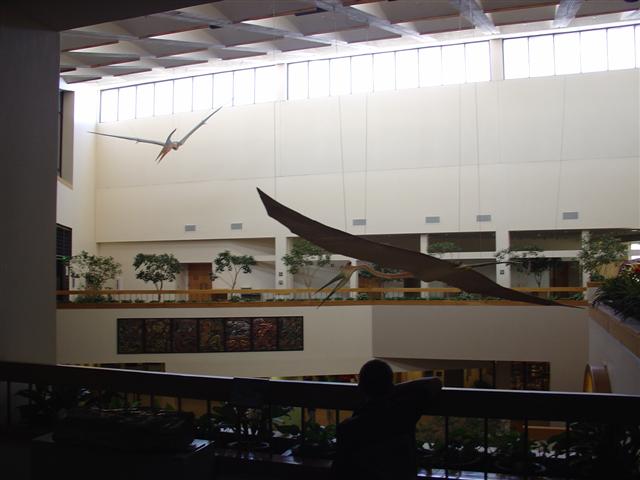 New Mexico Museum of Natural History and Science exhibits (5 of 13) (#1227)