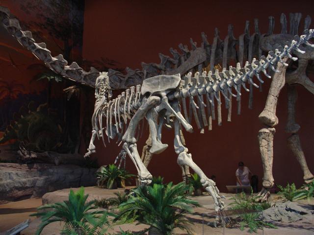 New Mexico Museum of Natural History and Science exhibits (6 of 13) (#1228)