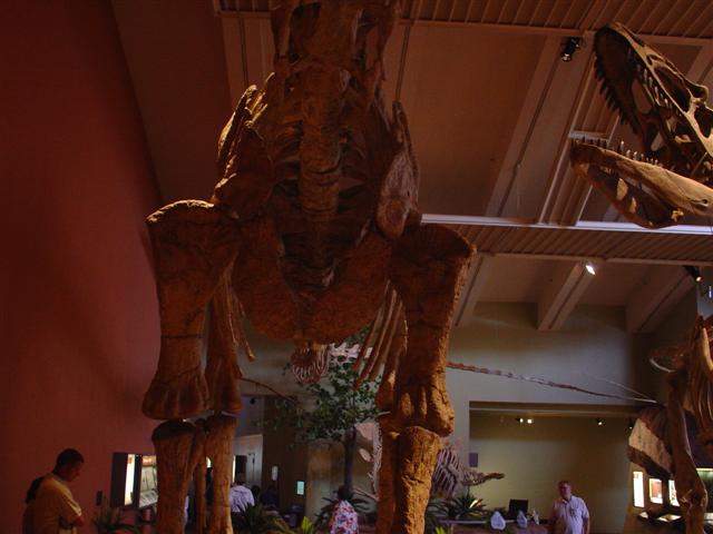 New Mexico Museum of Natural History and Science exhibits (8 of 13) (#1230)