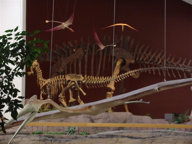 New Mexico Museum of Natural History and Science exhibits (11 of 13) (#1233)