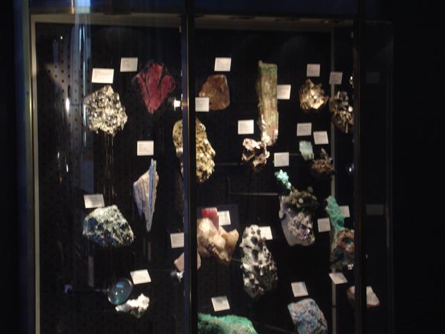 New Mexico Museum of Natural History and Science exhibits (12 of 13) (#1234)