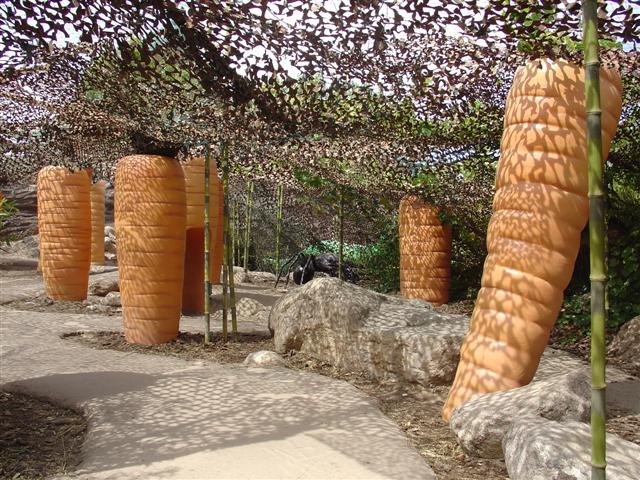 Albuquerque Botanical Gardens (7 of 9) (#1253)