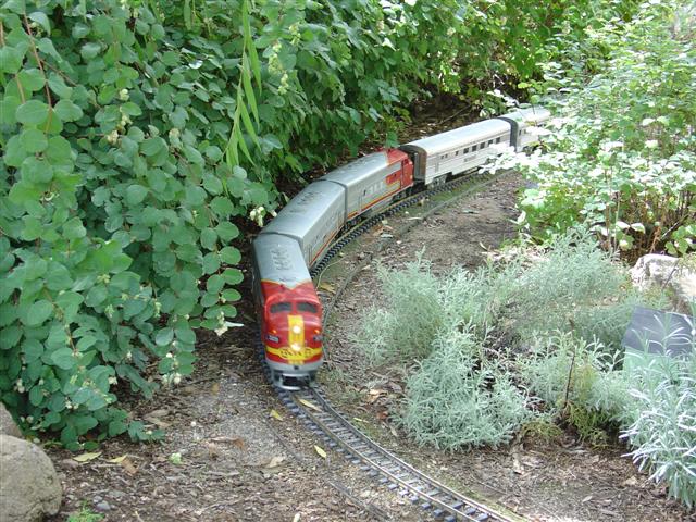 Albuquerque Botanical Gardens Train (#1257)