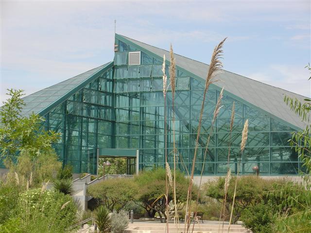 Albuquerque Botanical Gardens Desert in a Greenhouse (1 of 5) (#1264)