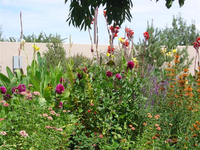 Albuquerque Botanical Gardens (8 of 9) (#1271)