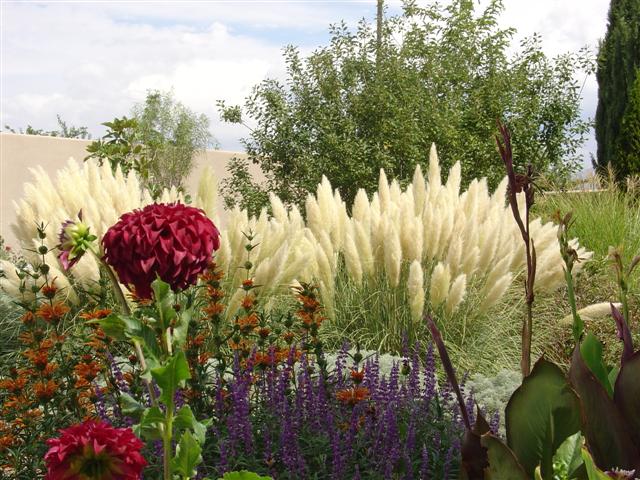 Albuquerque Botanical Gardens (9 of 9) (#1272)