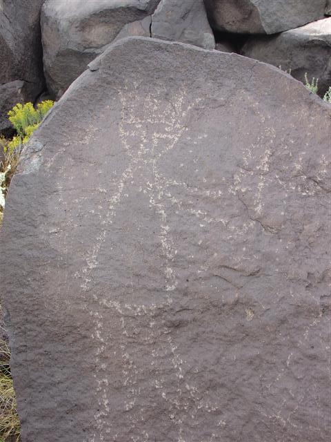 Petroglyphs found on the trails at Boca Negra Canyon (1 of 5) (#1296)