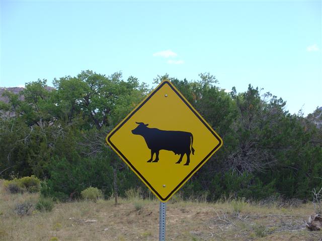 Acoma Sky City - Sign of the Times (#1371)