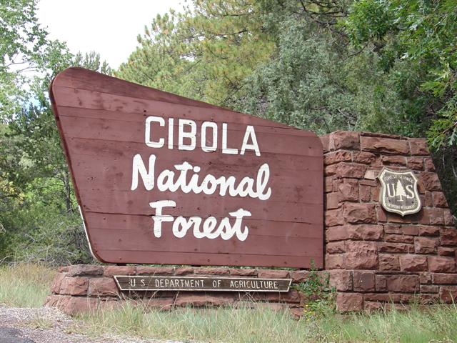 Sandia Peak Tramway (#1381)