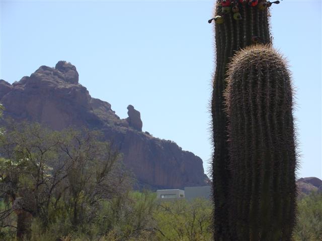 The Praying Man on Camelback Mountain view #3 of 6 (#1722)