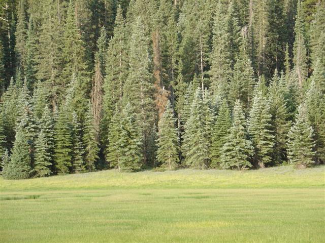 Scenery along the highway leading to Grand Canyon North Rim #2 of 8 (#1836)