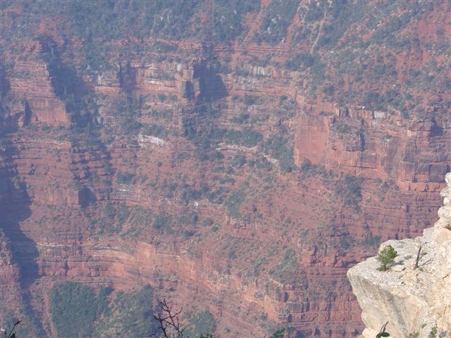 Grand Canyon seen from the North Rim #3 of 36 (#1848)