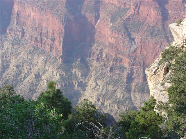 Grand Canyon seen from the North Rim #5 of 36 (#1850)