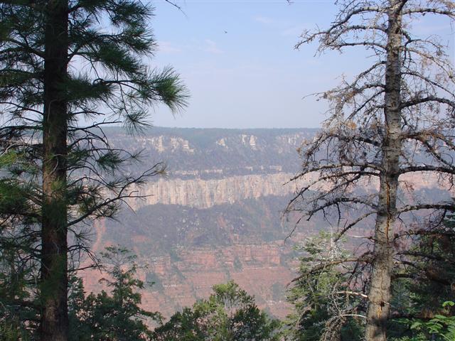 Grand Canyon seen from the North Rim #8 of 36 (#1854)