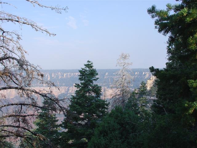 Grand Canyon seen from the North Rim #9 of 36 (#1855)