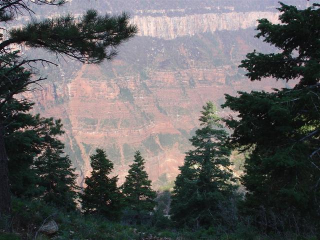 Grand Canyon seen from the North Rim #12 of 36 (#1858)