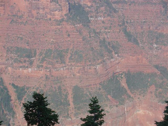 Grand Canyon seen from the North Rim #13 of 36 (#1859)