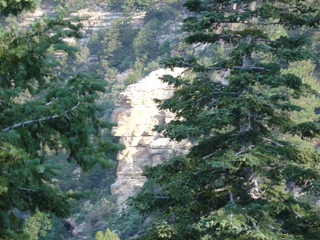 Grand Canyon seen from the North Rim #14 of 36 (#1860)