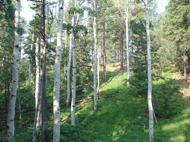 Southwestern Utah landscape #1 of 10 (#1871)