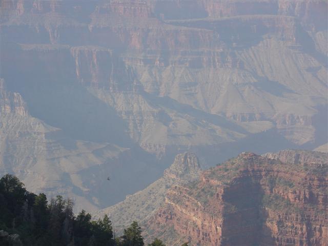 Grand Canyon seen from the North Rim #22 of 36 (#1880)